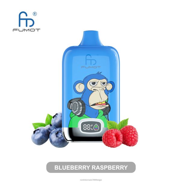 Fumot Original RandM Digital Box 12000 batterij en vloeistofdisplay vape-apparaat bosbes framboos - RandM tornado prijs L0D2B4