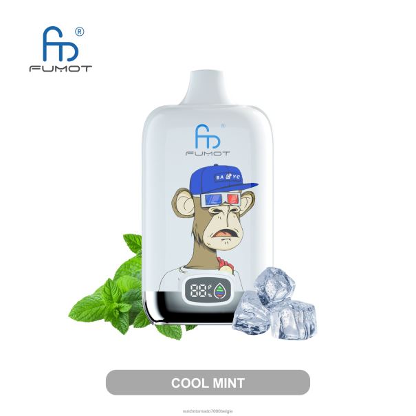 Fumot Original RandM Digital Box 12000 batterij en vloeistofdisplay vape-apparaat frisse munt - RandM vapes bestellen L0D2B1
