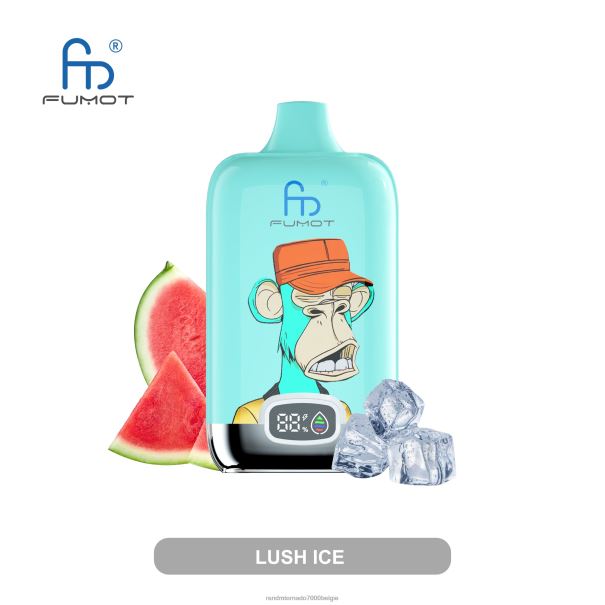 Fumot Original RandM Digital Box 12000 batterij en vloeistofdisplay vape-apparaat ijs pop - tornado vape België L0D2B10