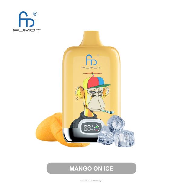 Fumot Original RandM Digital Box 12000 batterij en vloeistofdisplay vape-apparaat mango op ijs - RandM smaken L0D2B12