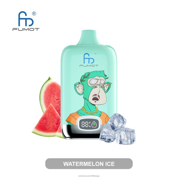 Fumot Original RandM Digital Box 12000 batterij en vloeistofdisplay vape-apparaat mango op ijs - RandM smaken L0D2B12