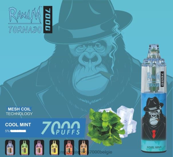 RandM Tornado 7000 vape-apparaat met luchtstroomregeling 1 st frisse munt - RandM tornado prijs L0D2B164