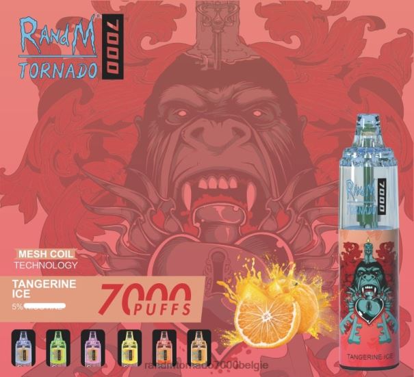 RandM Tornado 7000 vape-apparaat met luchtstroomregeling 1 st mandarijn ijs - RandM vape 9000 Belgie L0D2B166