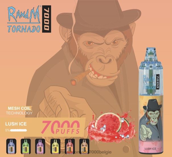 RandM Tornado 7000 vape-apparaat met luchtstroomregeling 1 st weelderig ijs - RandM tornado vape smaken L0D2B165