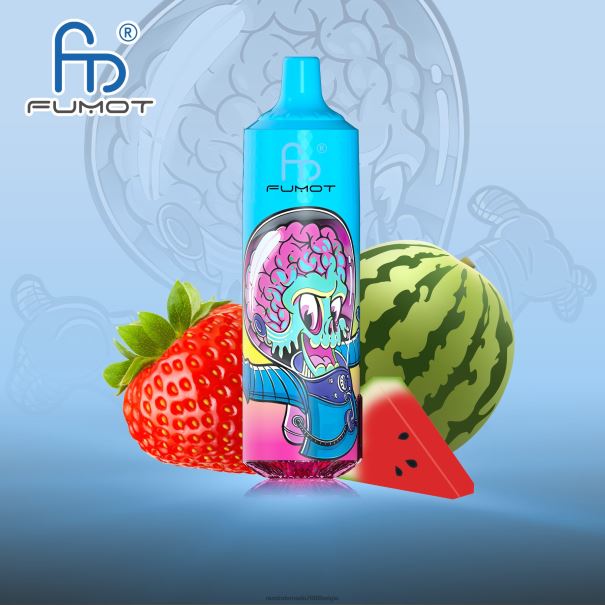 aardbei watermeloen