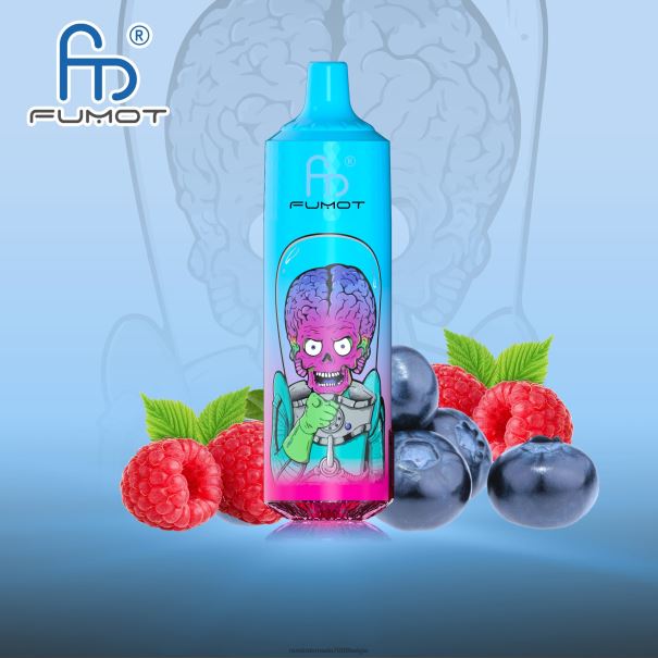 Fumot RandM Tornado 9000 pro vape-apparaat met batterij en ejuice-display versie 1 bosbes framboos - RandM vape 9000 Belgie L0D2B186