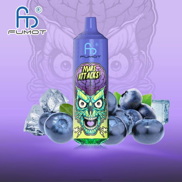 Fumot RandM Tornado 9000 pro vape-apparaat met batterij en ejuice-display versie 1 bosbessen ijs - RandM tornado vape smaken L0D2B185